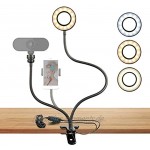 Led Selfie Ring Light Stand with Remote Control Table Ring Light with Webcam Holder or Phone Holder 3 Colors and 10 Brightness Levels for Tiktok  Youtube  Makeup  Online Chat  Facebook