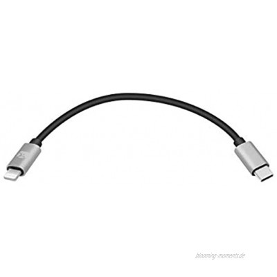 USB DAC OTG-Kabel für iPhone iPad iPod mit 8-poligem Anschluss iOS 14 auf Typ C Stecker Kabel Verstärker Fiio BTR 5 Q3S xd-05 Plus iP12 Mini Pro Max Mini 11 Xs Xr SE Digitalkamera 15 cm
