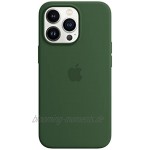 Apple Silikon Case mit MagSafe für iPhone 13 Pro Klee